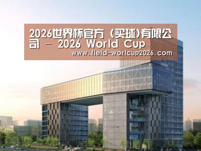 案例展示四(图1)