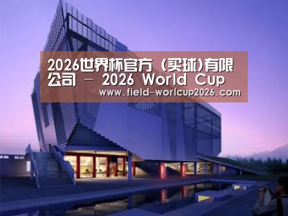 案例展示六