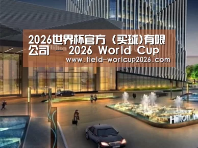案例展示二