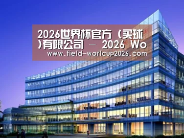案例展示五
